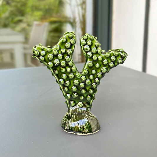 Petit cactus